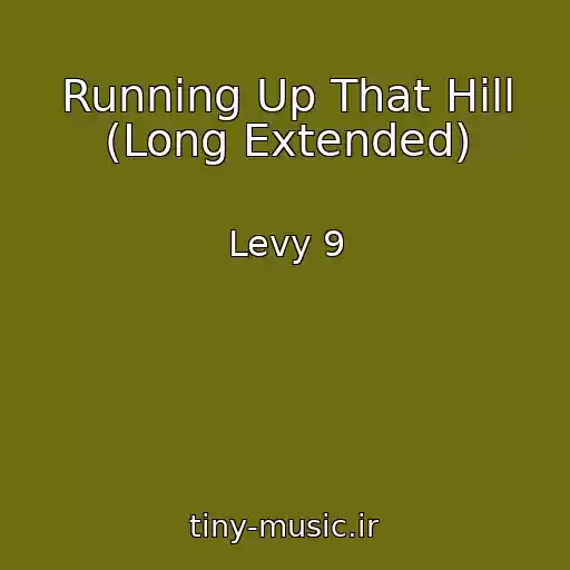 کاور آهنگ Running Up That Hill (Long Extended) از Levy 9