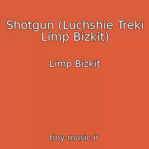 کاور آهنگ Shotgun (Luchshie Treki Limp Bizkit) از Limp Bizkit