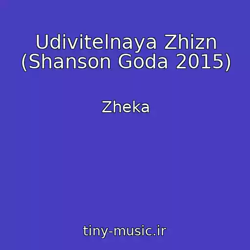 کاور آهنگ Udivitelnaya Zhizn (Shanson Goda 2015) از Zheka