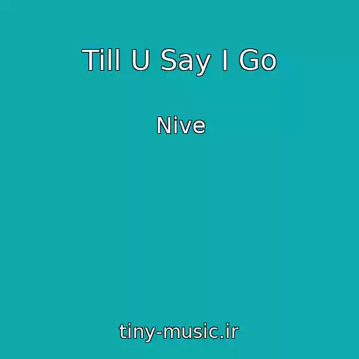 کاور آهنگ Till U Say I Go از Nive