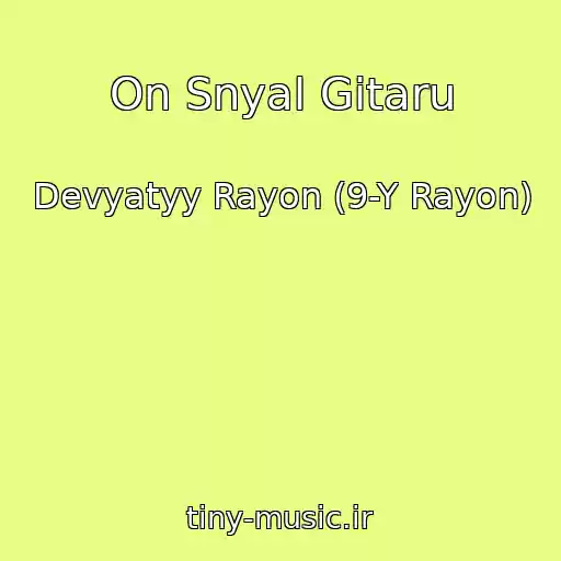 کاور آهنگ On Snyal Gitaru از Devyatyy Rayon (9-Y Rayon)