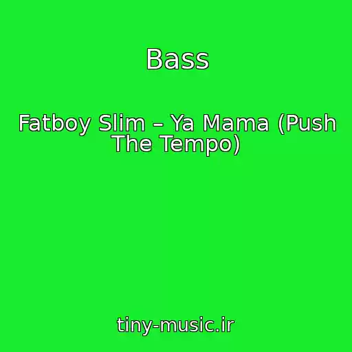 کاور آهنگ Bass از Fatboy Slim – Ya Mama (Push The Tempo)