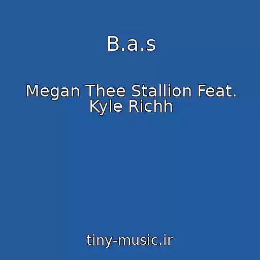 کاور آهنگ B.a.s از Megan Thee Stallion Feat. Kyle Richh