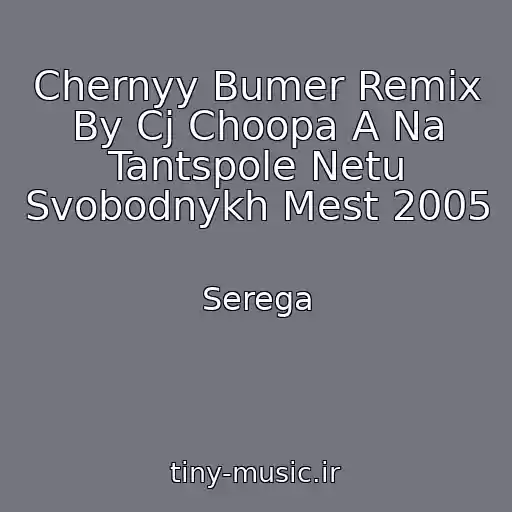 کاور آهنگ Chernyy Bumer Remix By Cj Choopa A Na Tantspole Netu Svobodnykh Mest 2005 از Serega