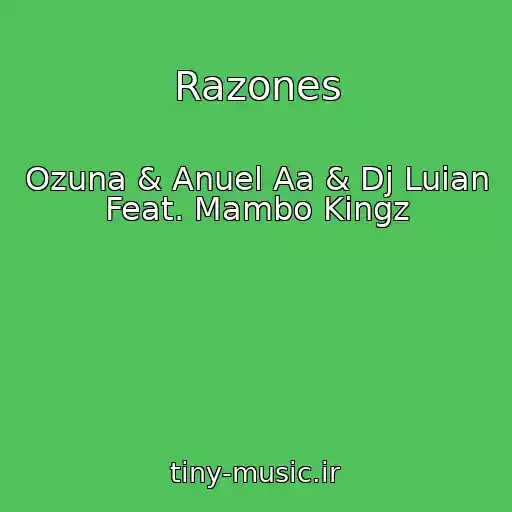کاور آهنگ Razones از Ozuna & Anuel Aa & Dj Luian Feat. Mambo Kingz