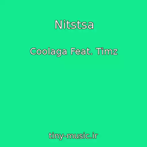 کاور آهنگ Nitstsa از Coolaga Feat. Timz