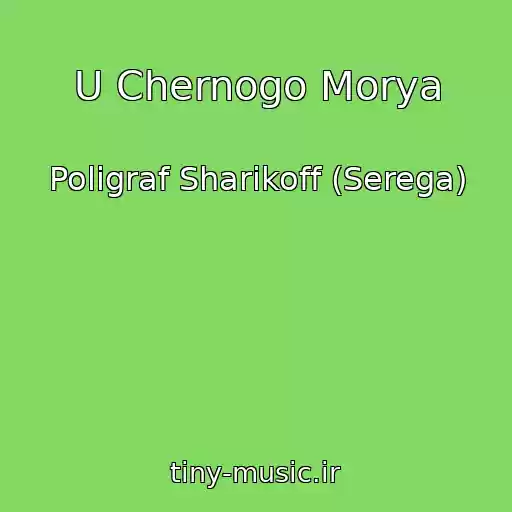 کاور آهنگ U Chernogo Morya از Poligraf Sharikoff (Serega)