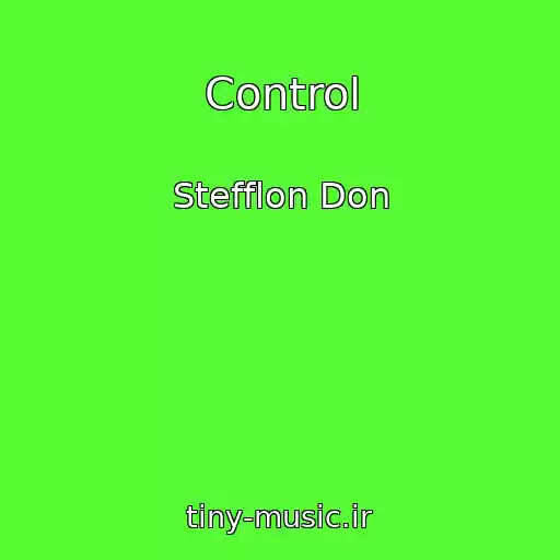 کاور آهنگ Control از Stefflon Don
