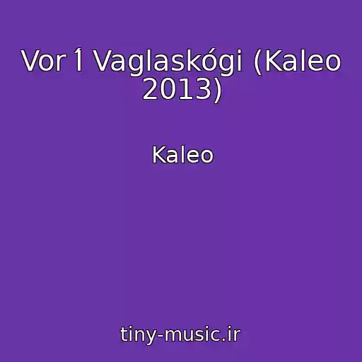 کاور آهنگ Vor Í Vaglaskógi (Kaleo 2013) از Kaleo