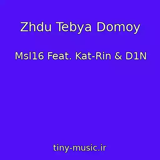 کاور آهنگ Zhdu Tebya Domoy از Msl16 Feat. Kat-Rin & D1N