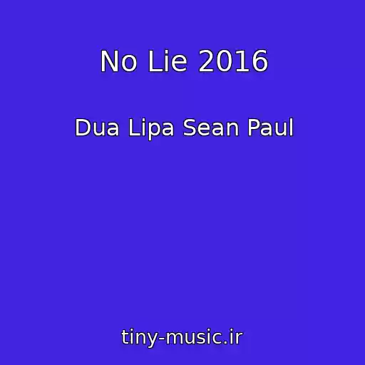 کاور آهنگ No Lie 2016 از Dua Lipa Sean Paul