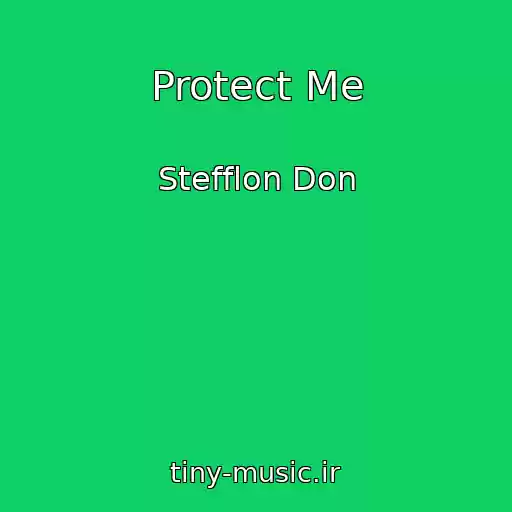 کاور آهنگ Protect Me از Stefflon Don