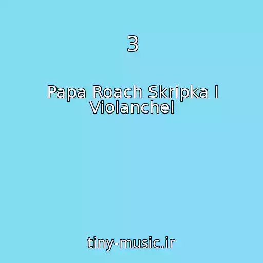 کاور آهنگ 3 از Papa Roach Skripka I Violanchel