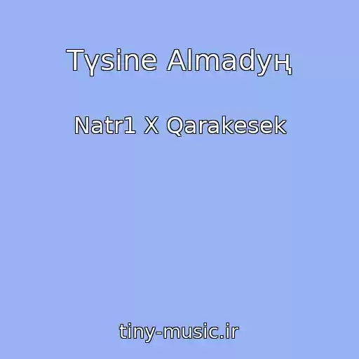 کاور آهنگ Tүsіne Almadyң از Natr1 X Qarakesek