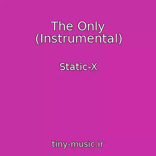 کاور آهنگ The Only (Instrumental) از Static-X