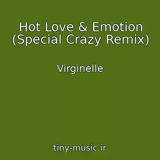 کاور آهنگ Hot Love & Emotion (Special Crazy Remix) از Virginelle