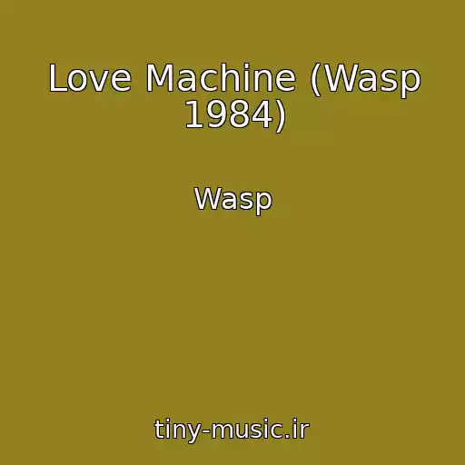 کاور آهنگ Love Machine (Wasp 1984) از Wasp