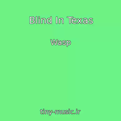 کاور آهنگ Blind In Texas از Wasp