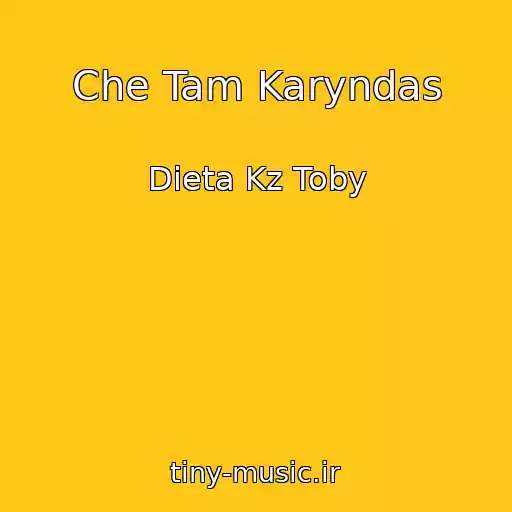 کاور آهنگ Che Tam Karyndas از Dieta Kz Toby