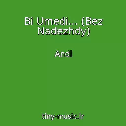 کاور آهنگ Bi Umedi... (Bez Nadezhdy) از Andi