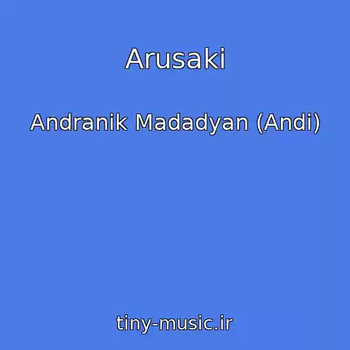 کاور آهنگ Arusaki از Andranik Madadyan (Andi)