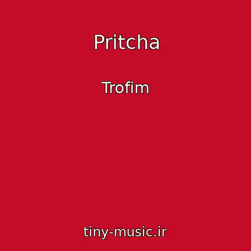 کاور آهنگ Pritcha از Trofim