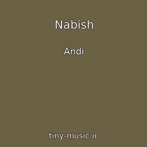 کاور آهنگ Nabish از Andi