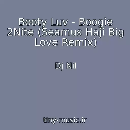 کاور آهنگ Booty Luv - Boogie 2Nite (Seamus Haji Big Love Remix) از Dj Nil