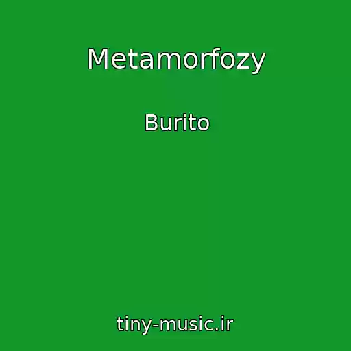 کاور آهنگ Metamorfozy از Burito