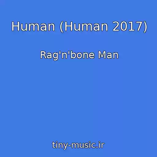 کاور آهنگ Human (Human 2017) از Rag'n'bone Man