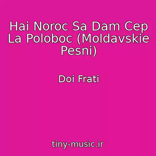 کاور آهنگ Hai Noroc Sa Dam Cep La Poloboc (Moldavskie Pesni) از Doi Frati