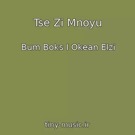 کاور آهنگ Tse Zі Mnoyu از Bum Boks I Okean Elzi