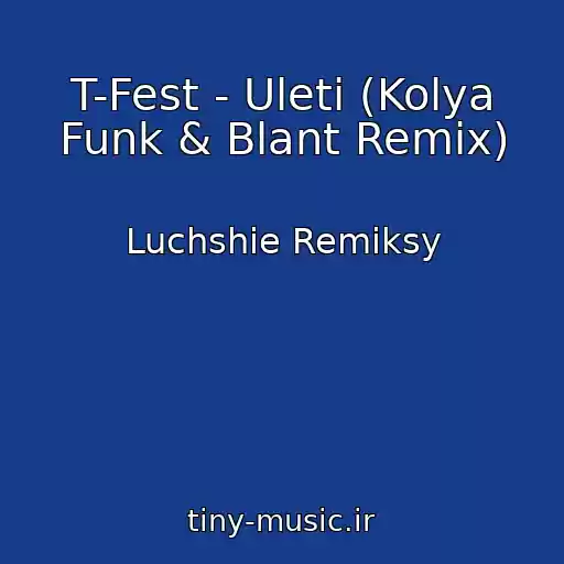 کاور آهنگ T-Fest - Uleti (Kolya Funk & Blant Remix) از Luchshie Remiksy