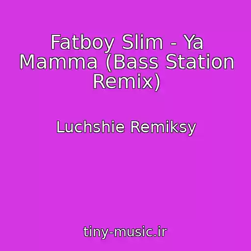 کاور آهنگ Fatboy Slim - Ya Mamma (Bass Station Remix) از Luchshie Remiksy