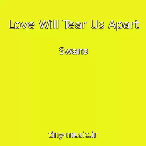 کاور آهنگ Love Will Tear Us Apart از Swans