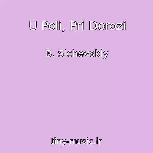 کاور آهنگ U Polі, Pri Dorozі از B. Sichevskiy
