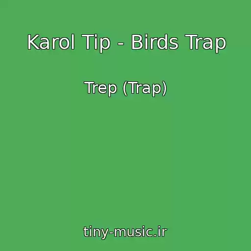 کاور آهنگ Karol Tip - Birds Trap از Trep (Trap)