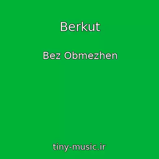 کاور آهنگ Berkut از Bez Obmezhen