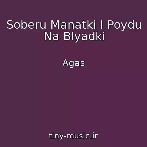 کاور آهنگ Soberu Manatki I Poydu Na Blyadki از Agas