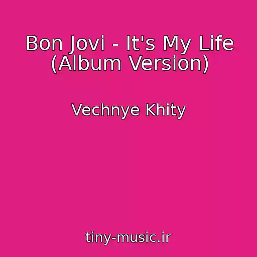 کاور آهنگ Bon Jovi - It's My Life (Album Version) از Vechnye Khity