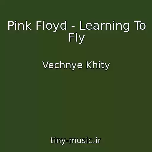 کاور آهنگ Pink Floyd - Learning To Fly از Vechnye Khity
