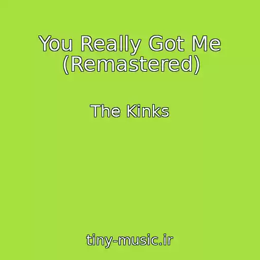 کاور آهنگ You Really Got Me (Remastered) از The Kinks