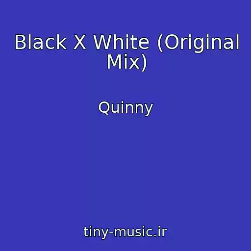 کاور آهنگ Black X White (Original Mix) از Quinny