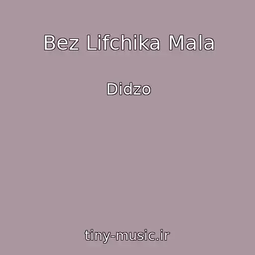 کاور آهنگ Bez Lіfchіka Mala از Didzo