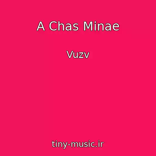 کاور آهنگ A Chas Minae از Vuzv