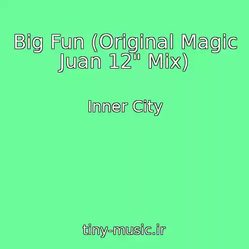 کاور آهنگ Big Fun (Original Magic Juan 12" Mix) از Inner City