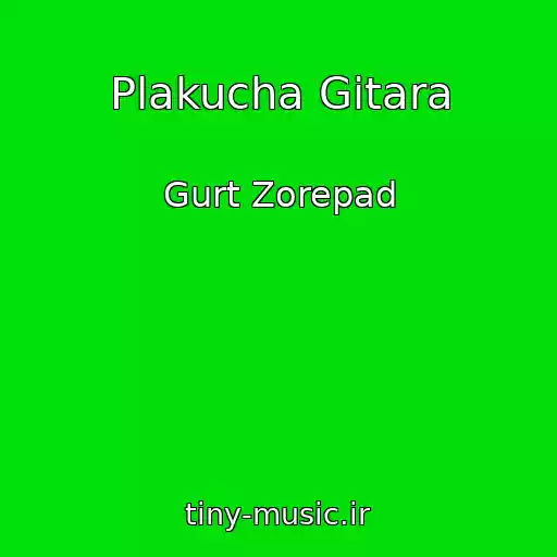 کاور آهنگ Plakucha Gіtara از Gurt Zorepad