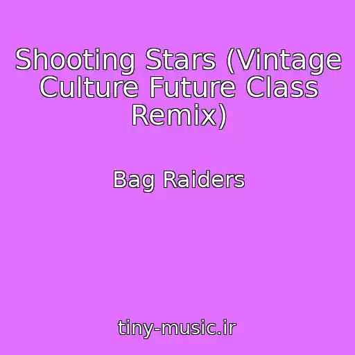 کاور آهنگ Shooting Stars (Vintage Culture Future Class Remix) از Bag Raiders