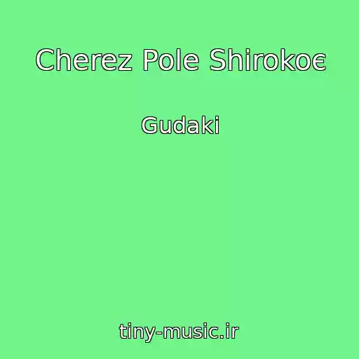 کاور آهنگ Cherez Pole Shirokoє از Gudaki