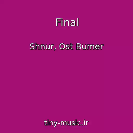 کاور آهنگ Final از Shnur, Ost Bumer